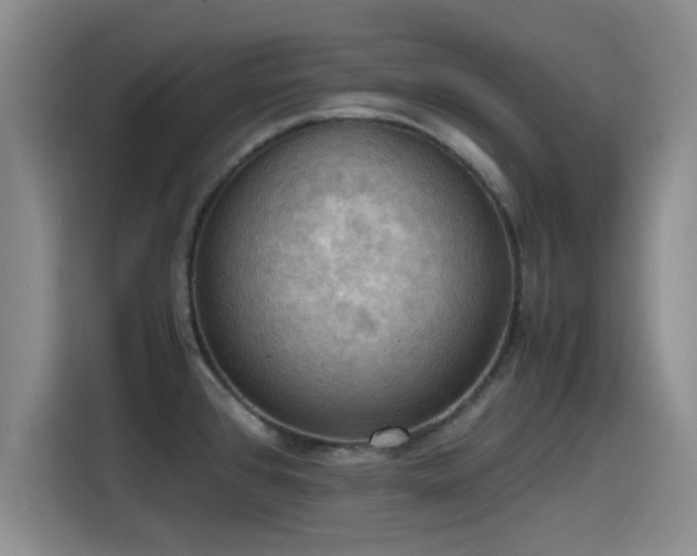 X0000115411384200911101603