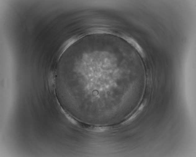 X0000115411385200911101603