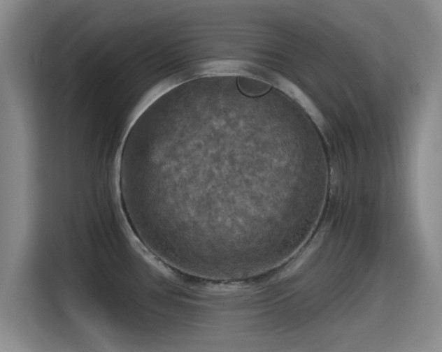 X0000115411386200911101603