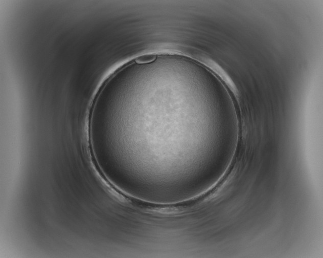 X0000115411388200911101602
