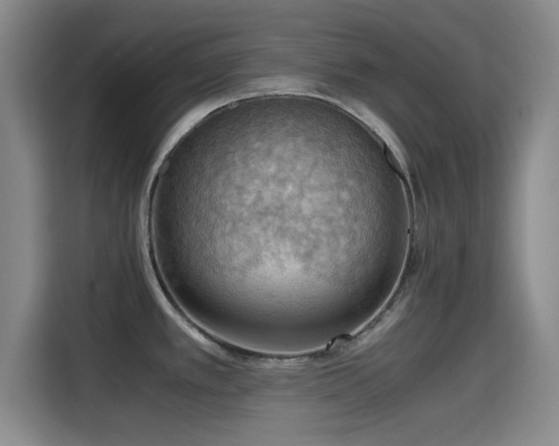 X0000115411389200911101602