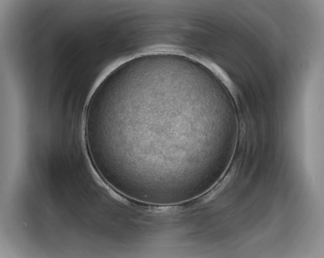 X0000115411390200911101602