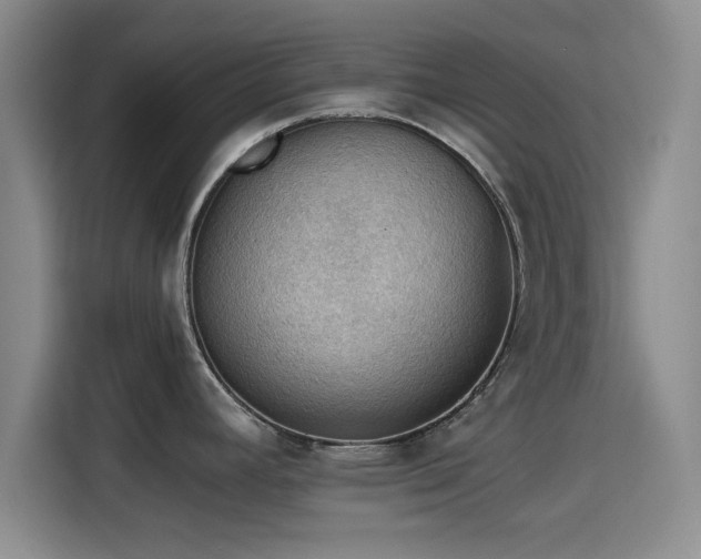 X0000115411392200911101602