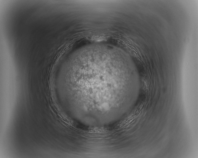 X0000115411393200911101602