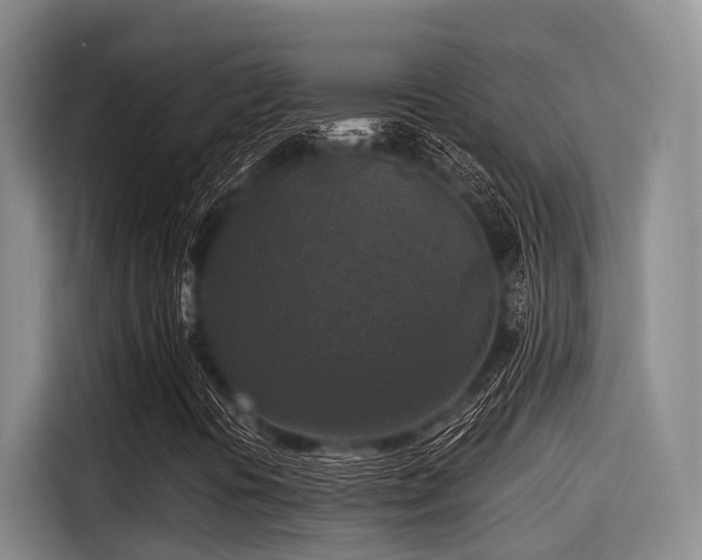 X0000115411394200911101602