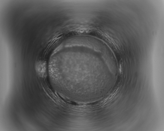 X0000115411396200911101602