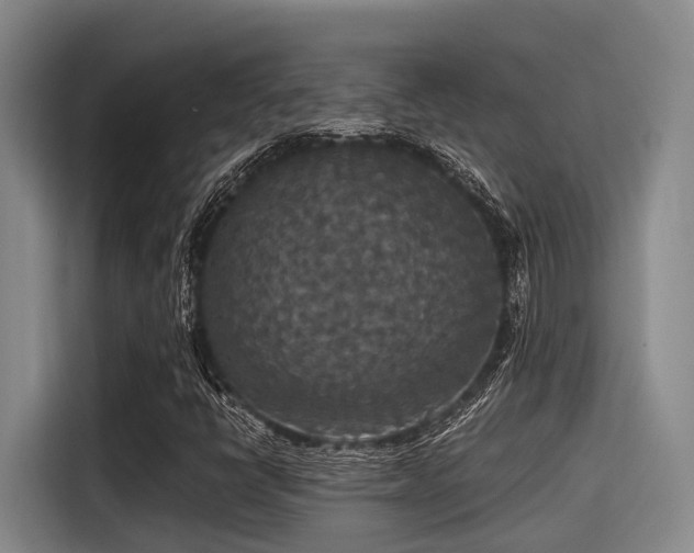 X0000115411398200911101602