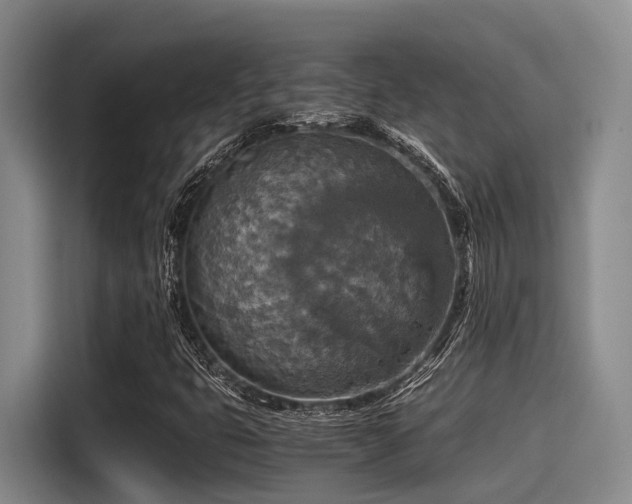 X0000115411399200911101602