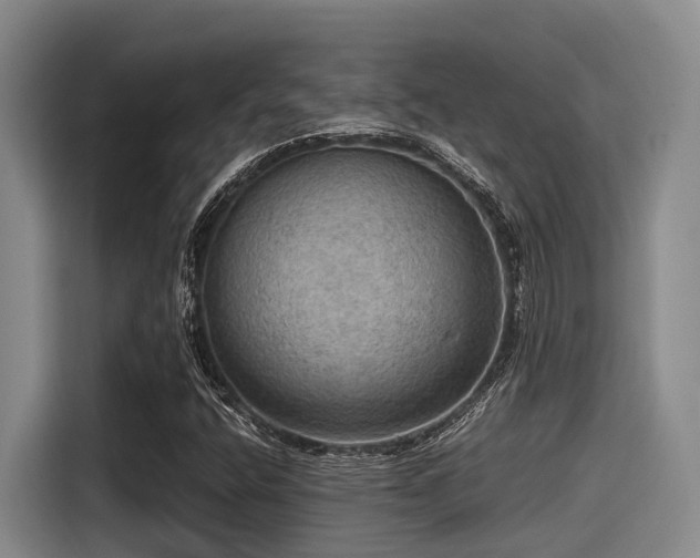 X0000115411400200911101602