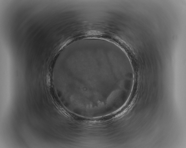 X0000115411401200911101602