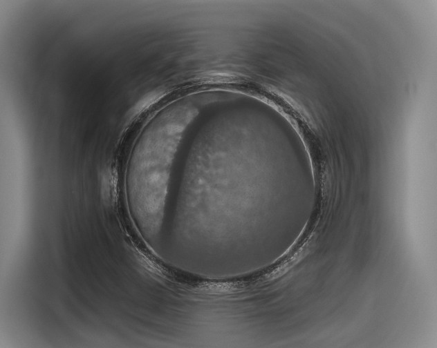 X0000115411402200911101602