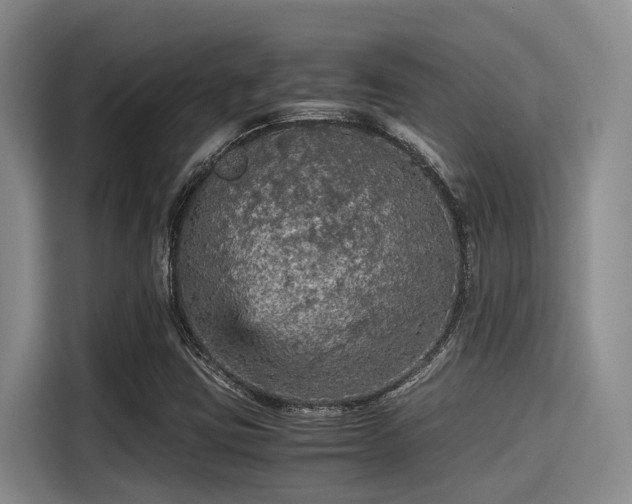 X0000115411403200911101602