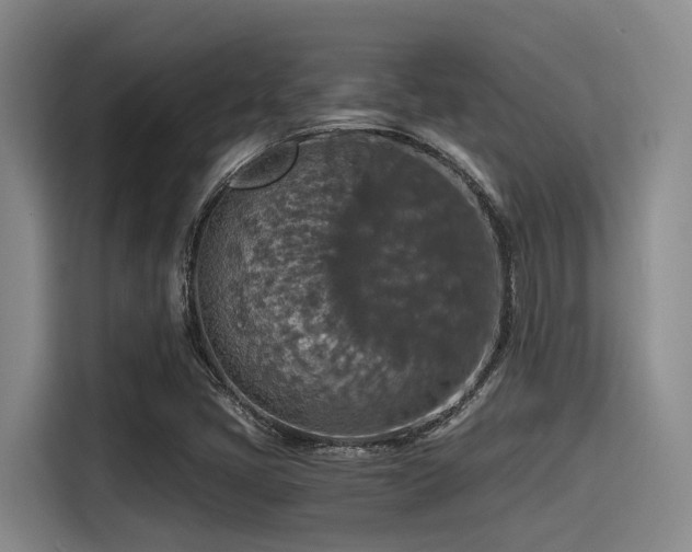 X0000115411405200911101602