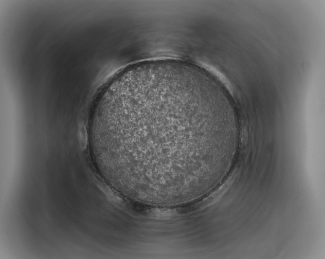X0000115411407200911101602