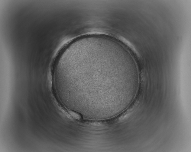 X0000115411408200911101602