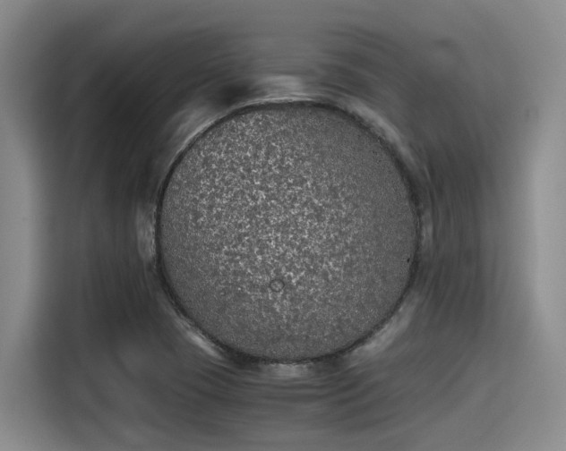 X0000115411409200911101602