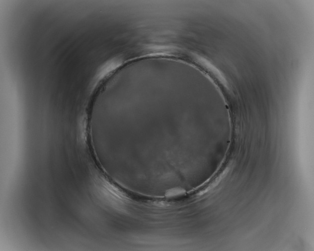 X0000115411411200911101602