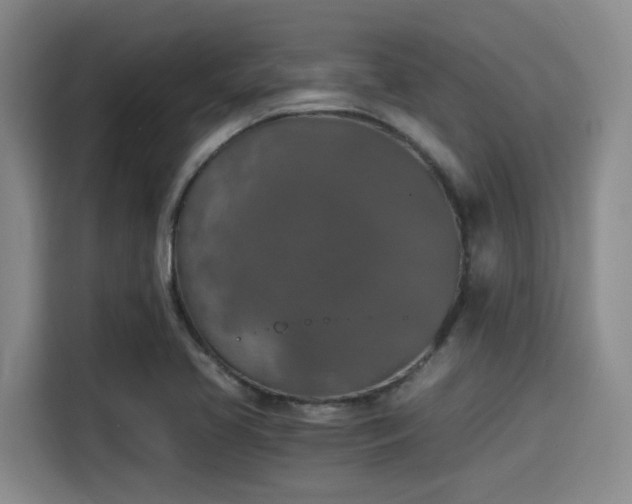 X0000115411413200911101602