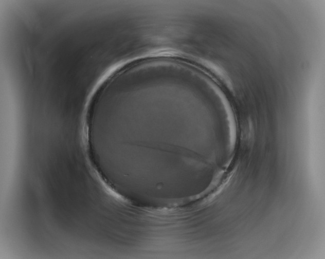 X0000115411414200911101602