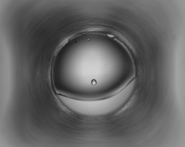 X0000115411417200911101602