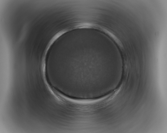 X0000115411418200911101602