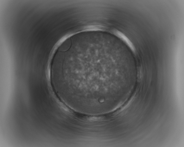 X0000115411419200911101602