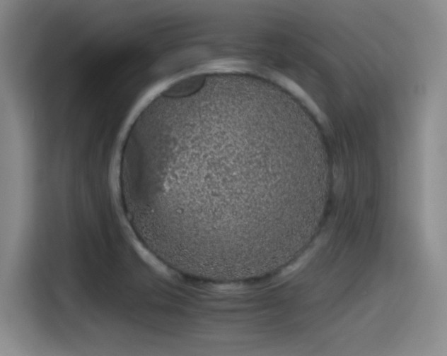 X0000115411421200911101602