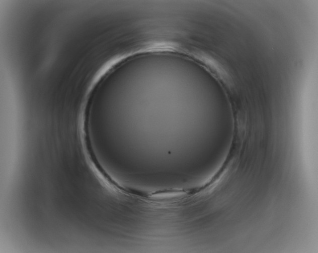 X0000115411422200911101602