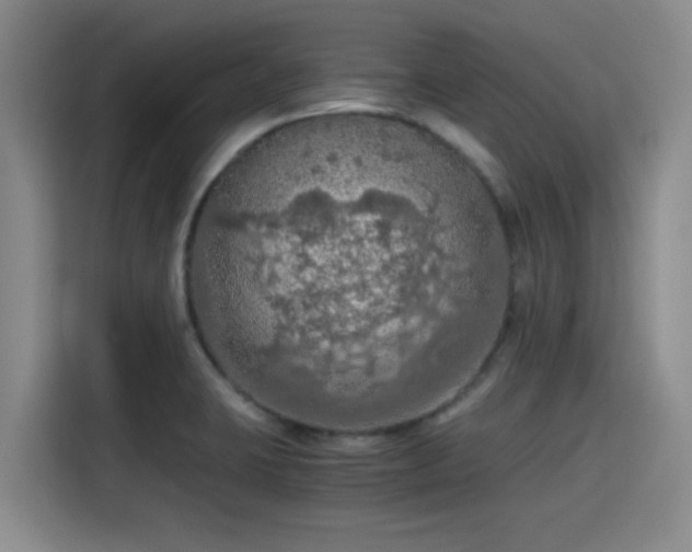 X0000115411423200911101602