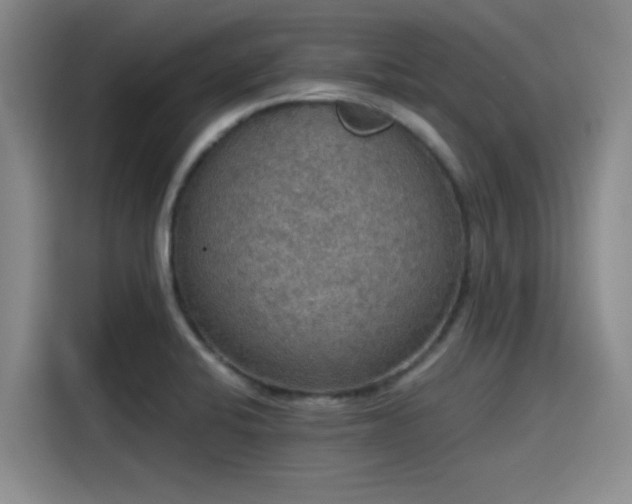 X0000115411424200911101602