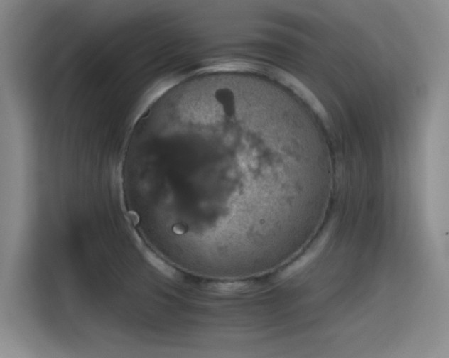 X0000115411425200911101602