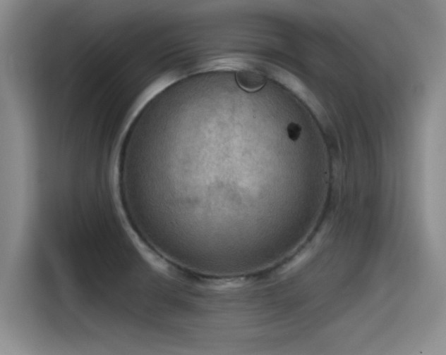 X0000115411426200911101602