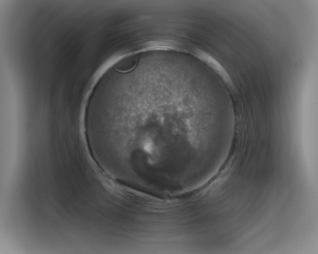 X0000115411427200911101602