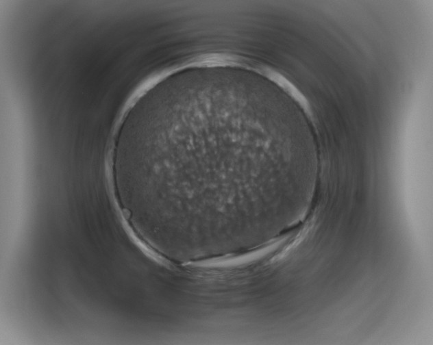 X0000115411429200911101602