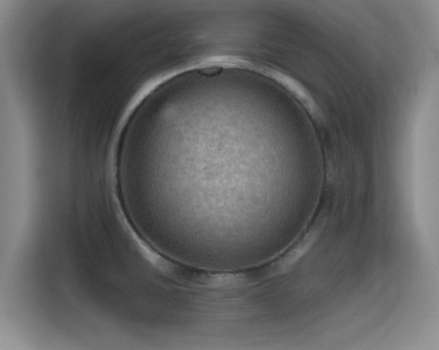 X0000115411430200911101602