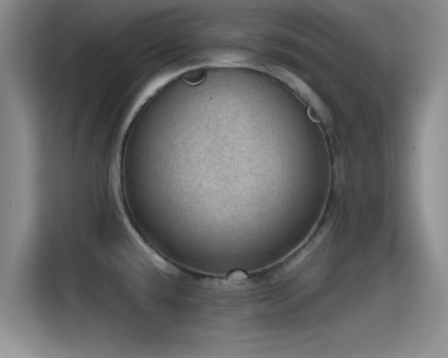 X0000115411432200911101602
