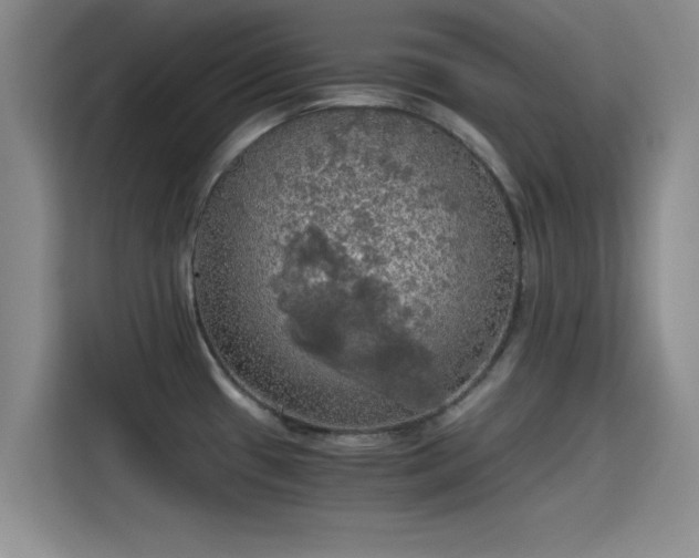 X0000115411433200911101602
