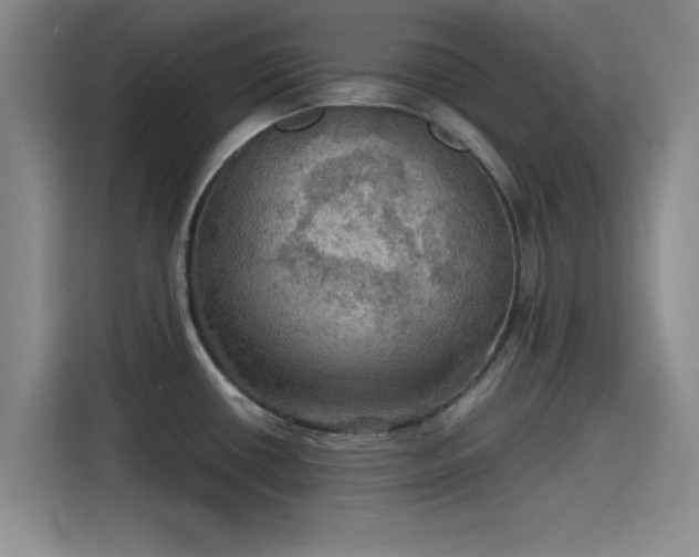 X0000115411434200911101602