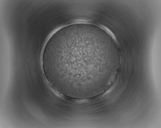 X0000115411435200911101602