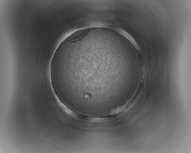 X0000115411439200911101602