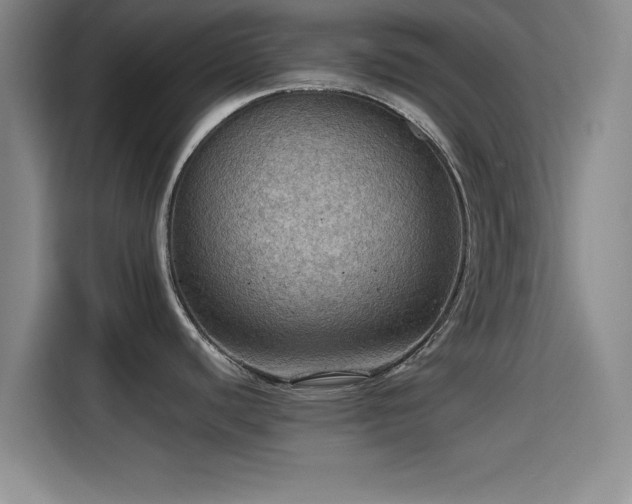X0000115411440200911101602