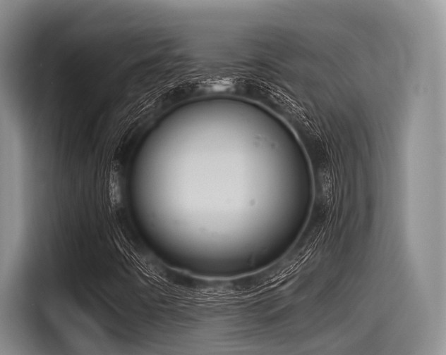 X0000115411442200911101602