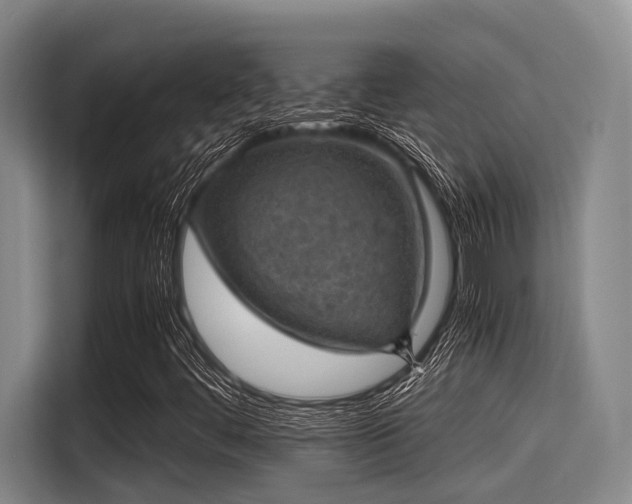 X0000115411444200911101602