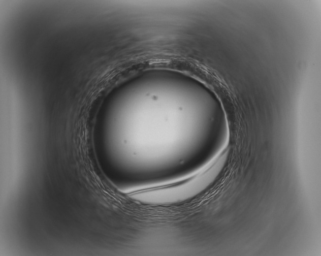 X0000115411445200911101602