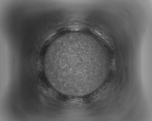 X0000115411446200911101602