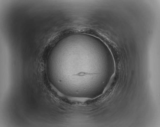 X0000115411447200911101602