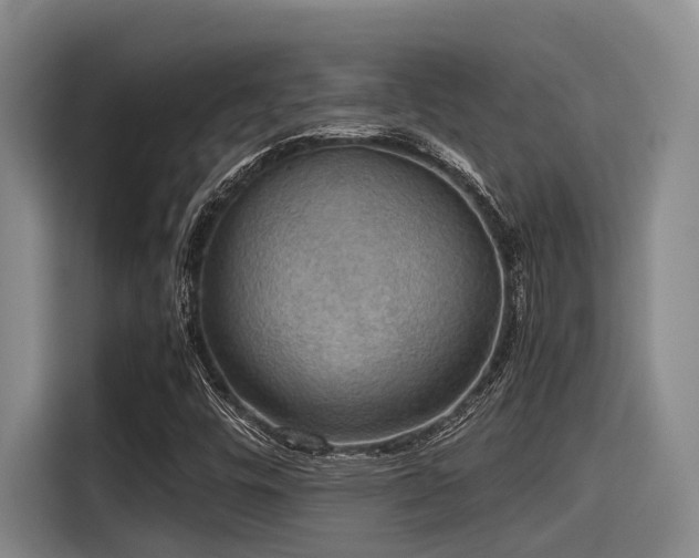 X0000115411448200911101602