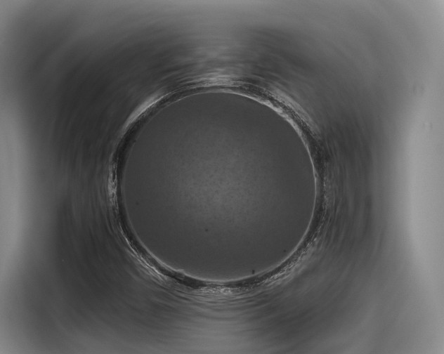 X0000115411450200911101602