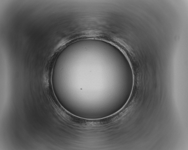 X0000115411451200911101602