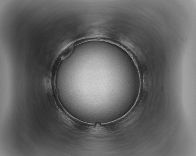 X0000115411452200911101602